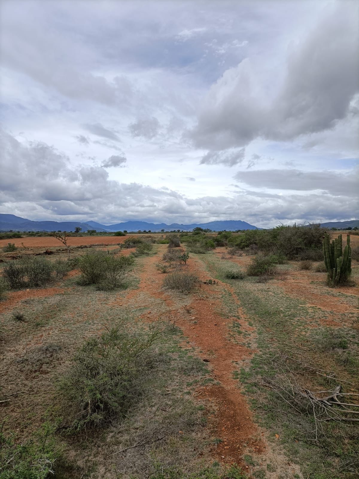 Land in San Juan Guelavía, Oaxaca
